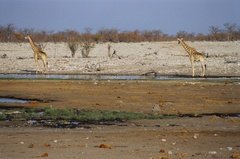 namibie1148