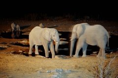 namibie1152
