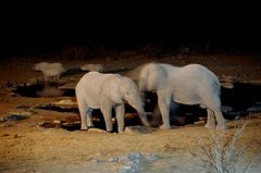 namibie1153