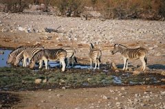 namibie1156