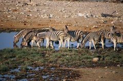 namibie1157