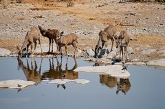 namibie1159