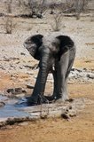 namibie1164