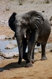 namibie1165