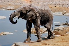 namibie1167