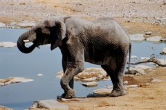 namibie1168