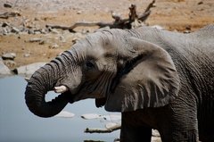namibie1169