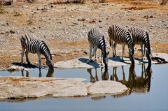 namibie1170