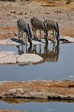 namibie1172