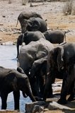 namibie1174
