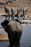 namibie1175
