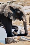 namibie1177