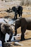 namibie1179