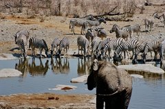 namibie1181