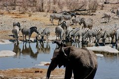 namibie1182