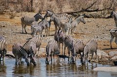 namibie1183