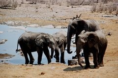 namibie1186