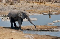 namibie1188