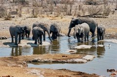 namibie1190