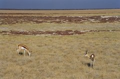 namibie1195