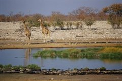 namibie1197