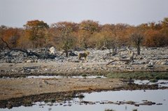 namibie1199