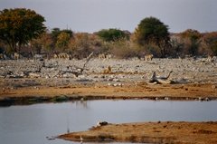 namibie1200