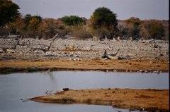 namibie1201