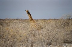 namibie1202
