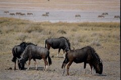 namibie1204