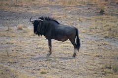 namibie1205