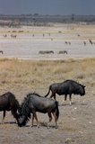 namibie1206