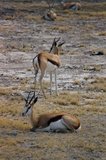 namibie1207