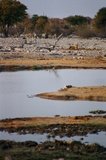 namibie1208