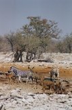 namibie1209