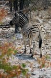 namibie1210