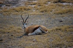 namibie1211