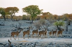 namibie1212
