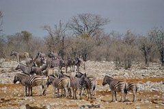 namibie1213