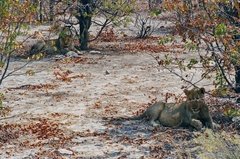 namibie1218