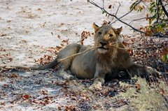 namibie1219