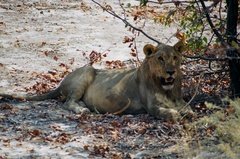 namibie1221