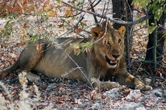 namibie1222