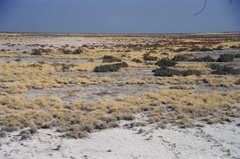 namibie1224