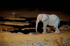 namibie1226