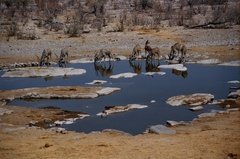 namibie1228