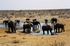 namibie1229