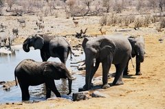 namibie1231