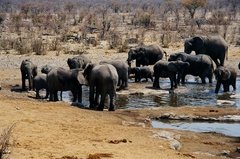 namibie1233