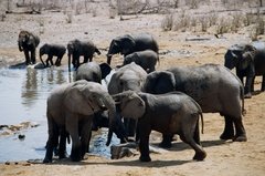 namibie1235